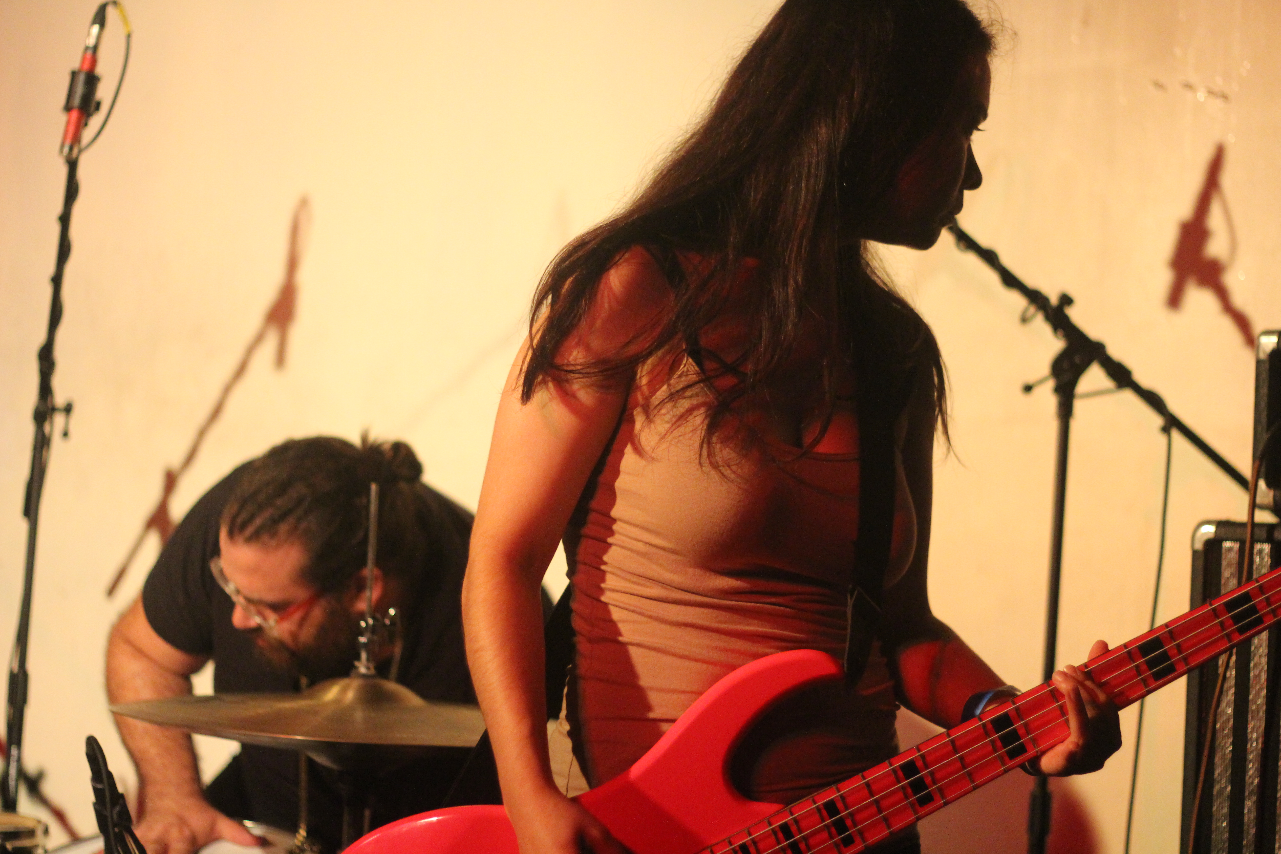 Mitski – Live at Palisades – 7/17/15 (Visual Essay)