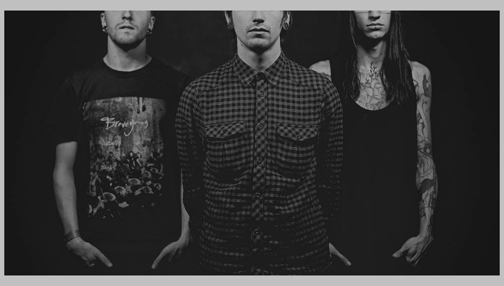Birds In Row – 15-38 (Stream)